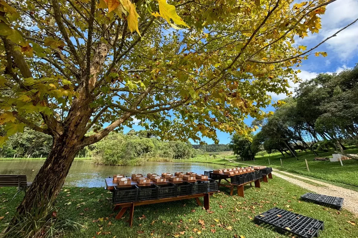 Chácara Kiwi da Serra Área Lago