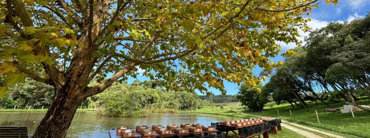 Chácara Kiwi da Serra Área Lago