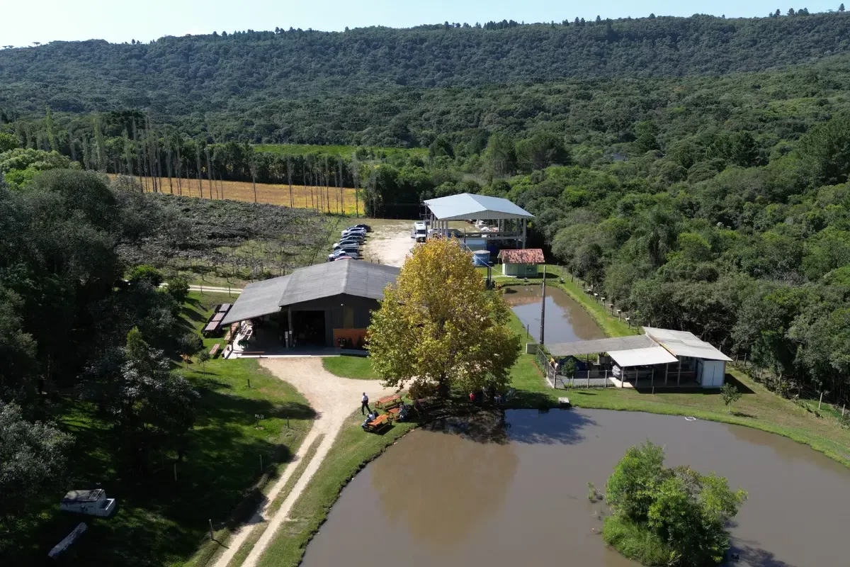 Chácara Kiwi da Serra Drone