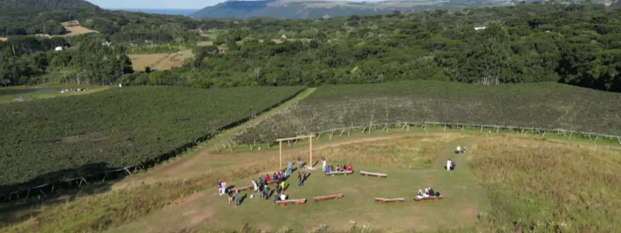 Chácara Kiwi da Serra Vista de São Luiz do Purunã